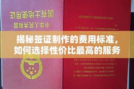 拜城揭秘签证制作的费用标准，如何选择性价比最高的服务？